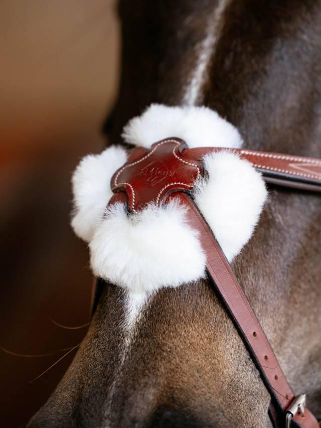 Lemieux Kudos Grackle Bridle - Nags Essentials