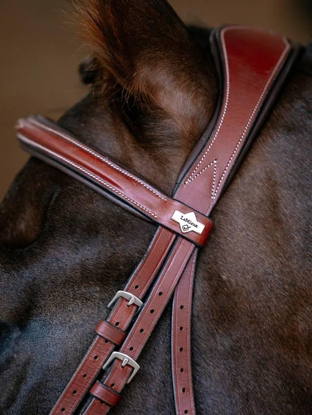 Lemieux Kudos Grackle Bridle - Nags Essentials