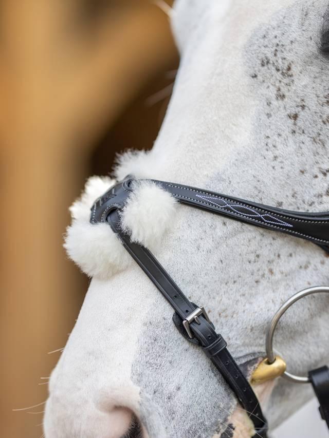 Lemieux Kudos Grackle Bridle - Nags Essentials
