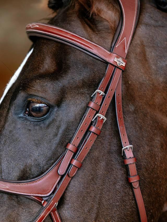 Lemieux Kudos Grackle Bridle - Nags Essentials