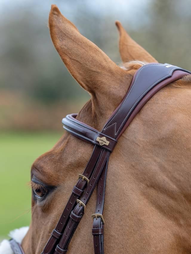 Lemieux Kudos Grackle Bridle - Nags Essentials