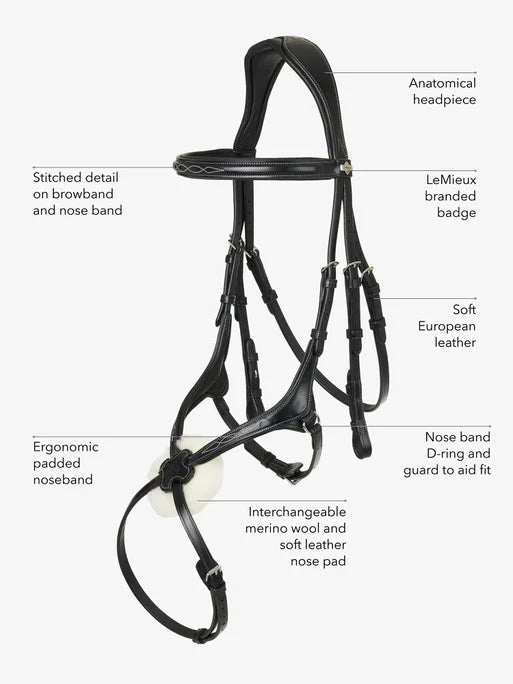 LeMieux Kudos Grackle Bridle - Nags Essentials