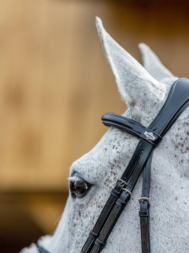 Lemieux Kudos Grackle Bridle - Nags Essentials