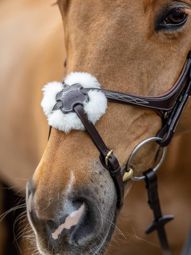Lemieux Kudos Grackle Bridle - Nags Essentials