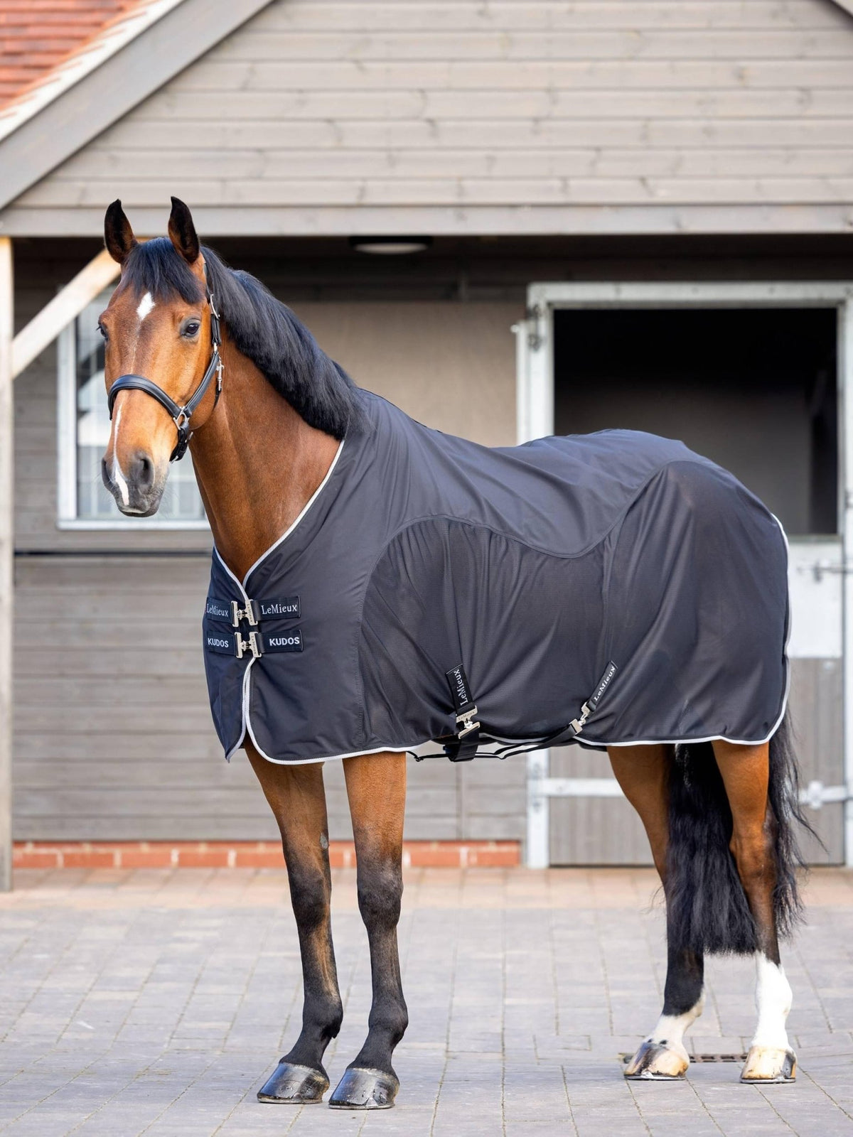 LeMieux Kudos Hybrid Cooler - Nags Essentials