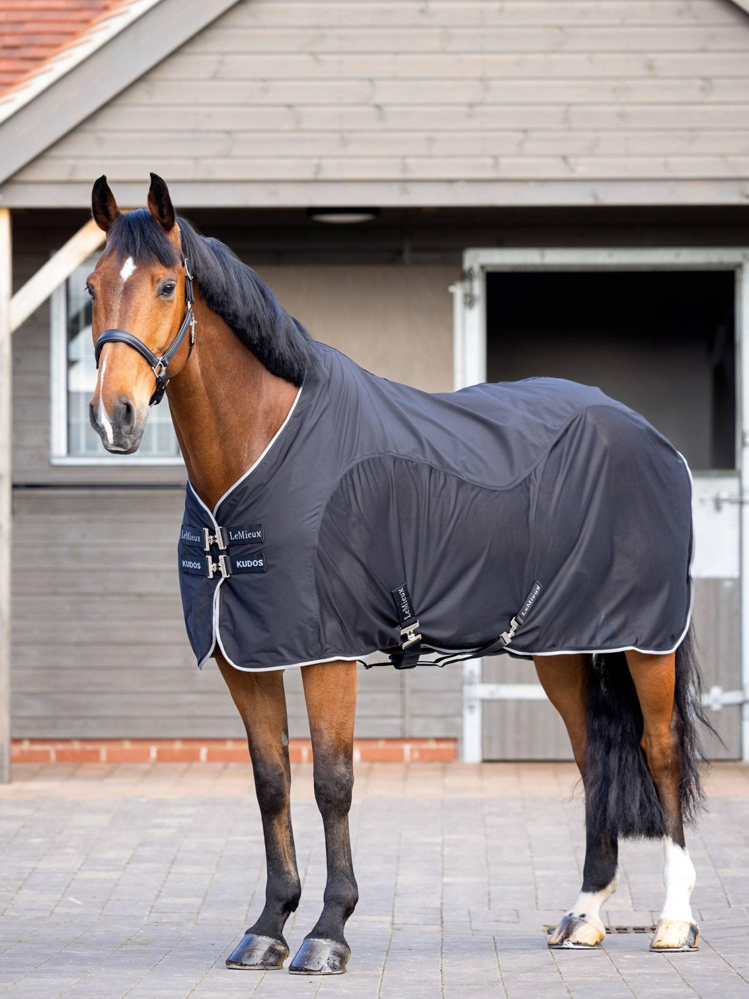 LeMieux Kudos Hybrid Cooler - Nags Essentials