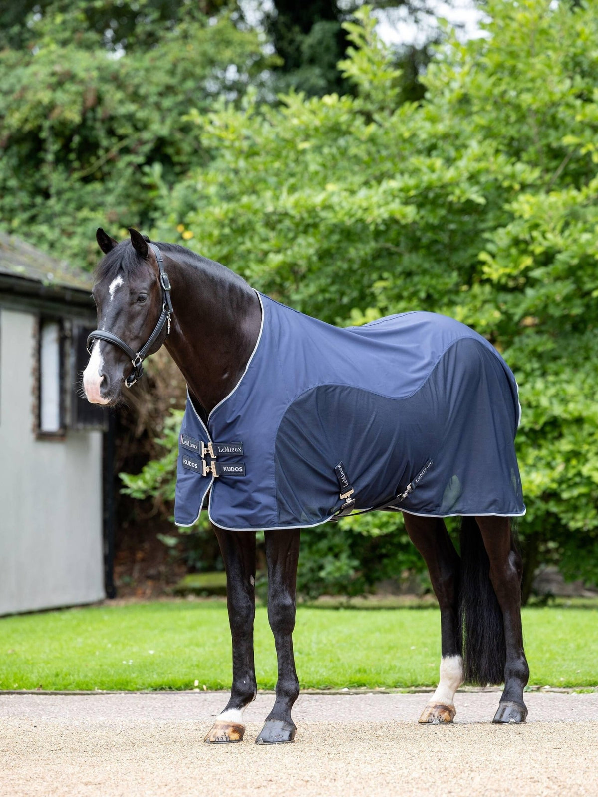 LeMieux Kudos Hybrid Cooler - Nags Essentials