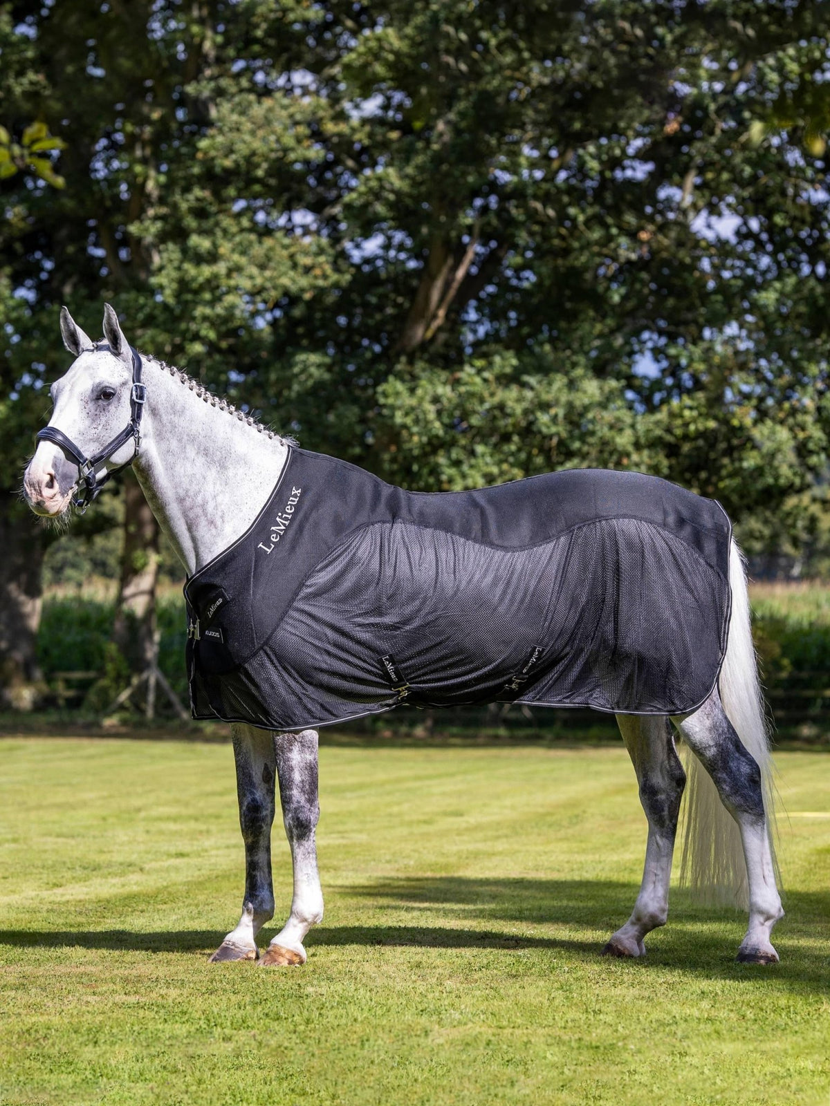 LeMieux Kudos Mesh Sports Cooler Rug - Nags Essentials