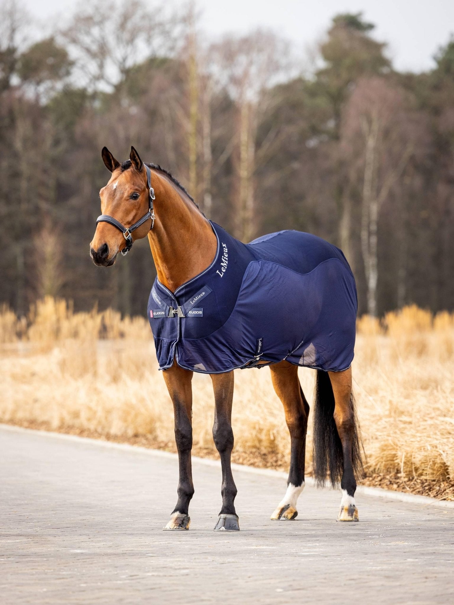 LeMieux Kudos Mesh Sports Cooler Rug - Nags Essentials
