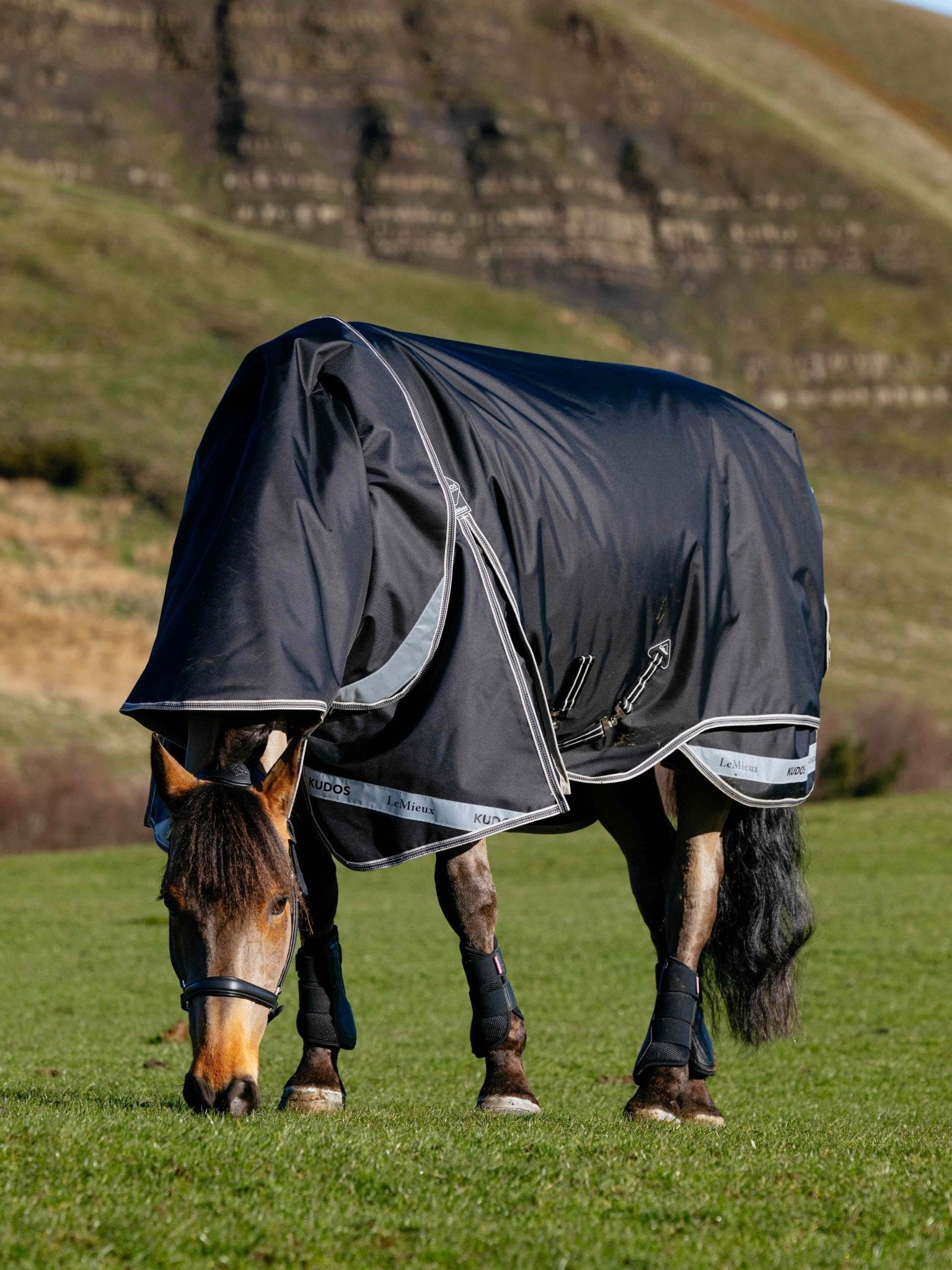 LeMieux Kudos Neo-Turnout Rug 100g - Black - Nags Essentials