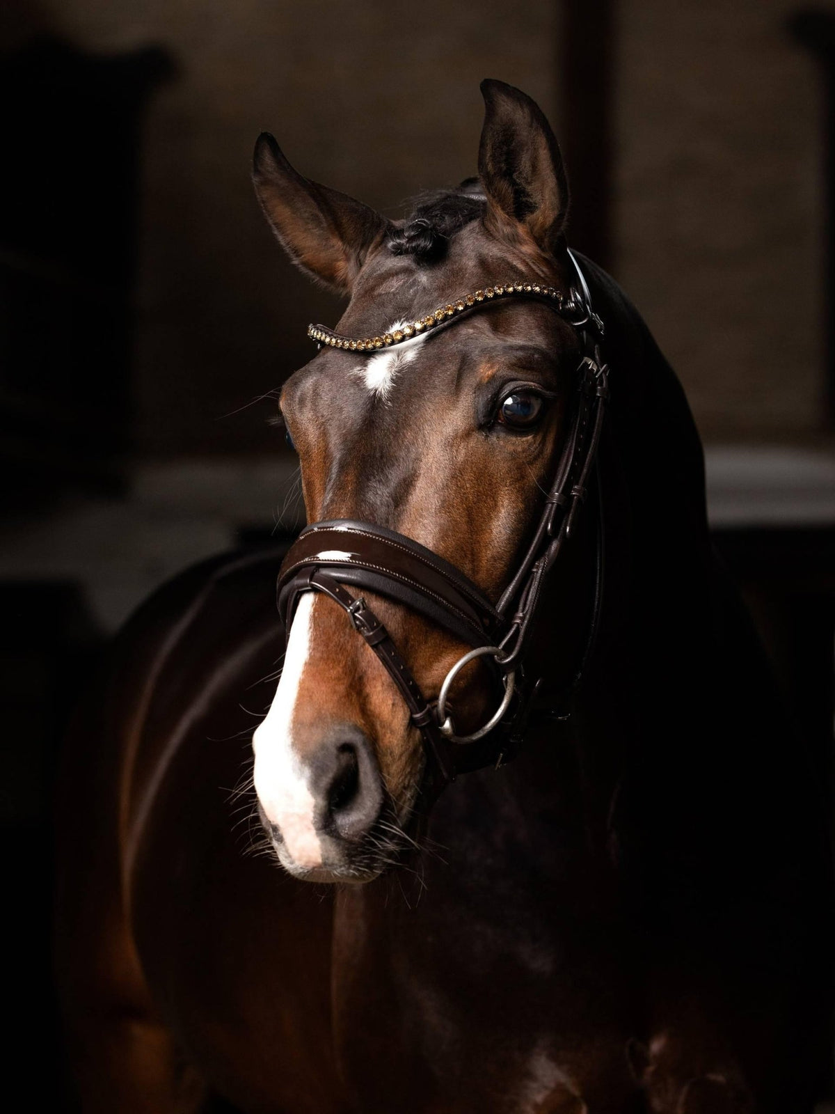 Lemieux Kudos Patent Rolled Dressage Bridle - Nags Essentials