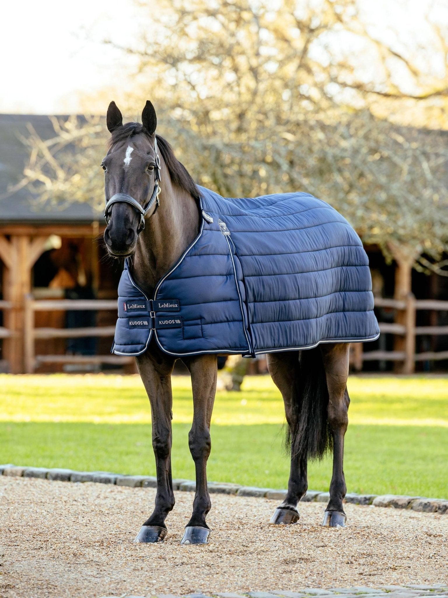 Lemieux Kudos Rug Liner 100g - Navy - Nags Essentials