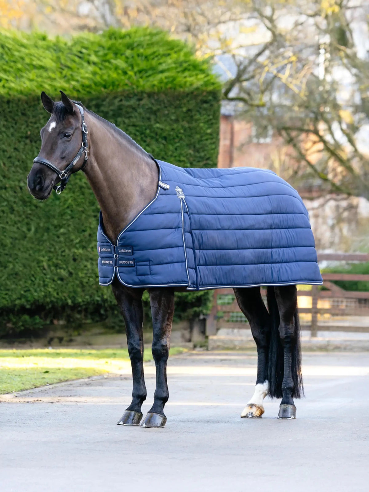Lemieux Kudos Rug Liner 200g - Navy - Nags Essentials