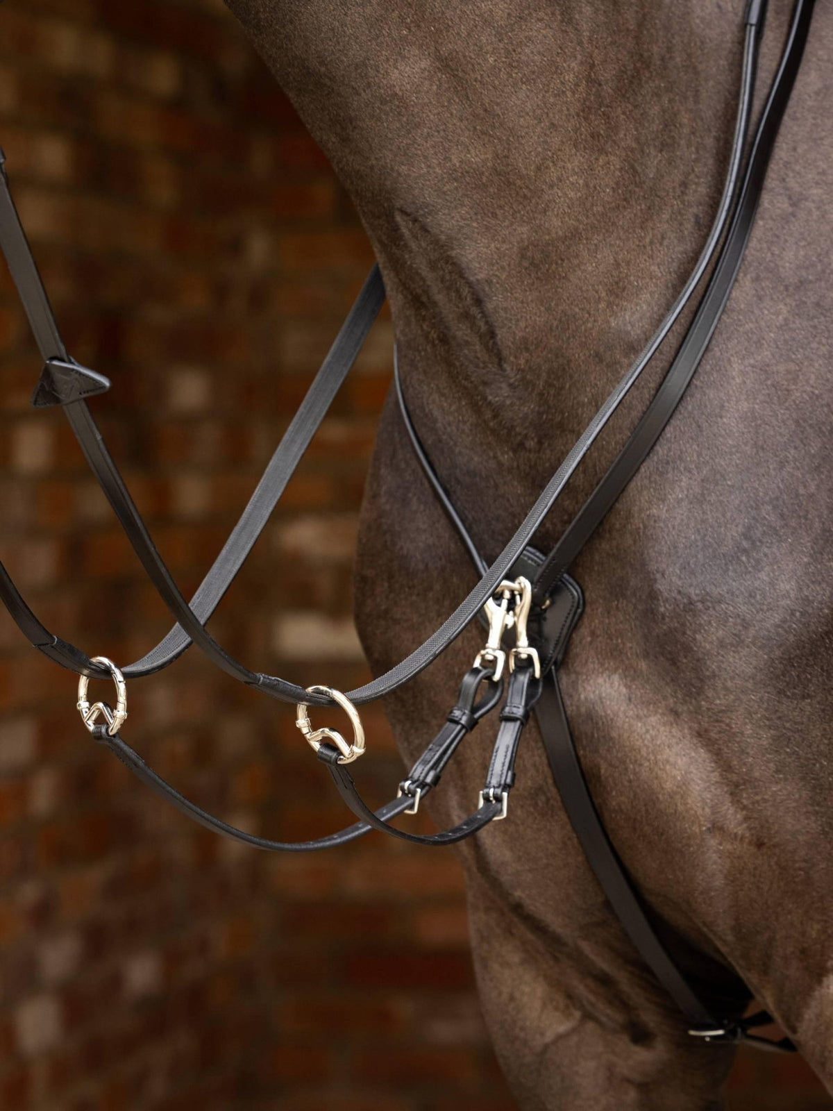 Lemieux Kudos Running Martingale - Nags Essentials
