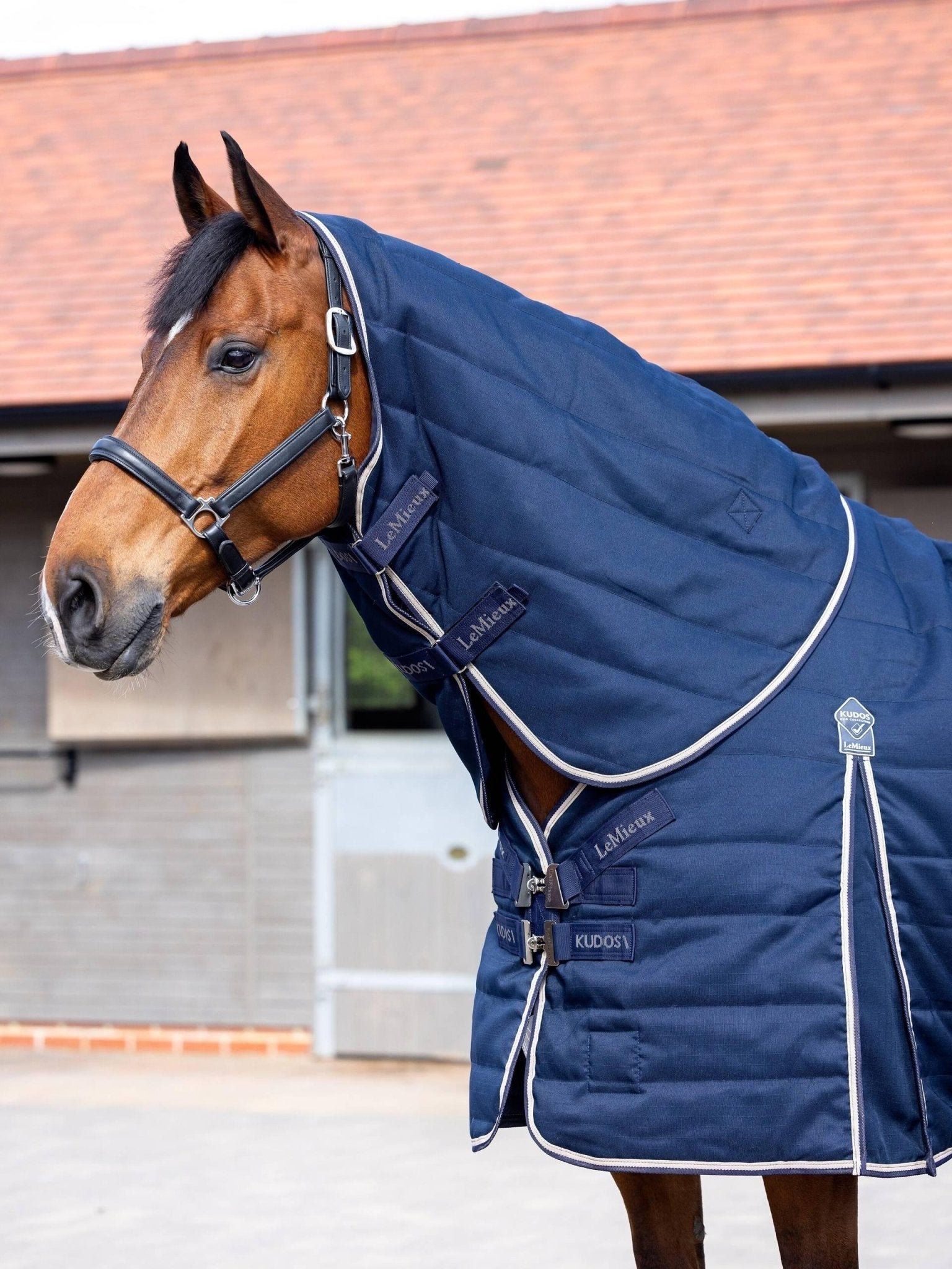 LeMieux Kudos Stable Neck Cover 100g - Navy - Nags Essentials