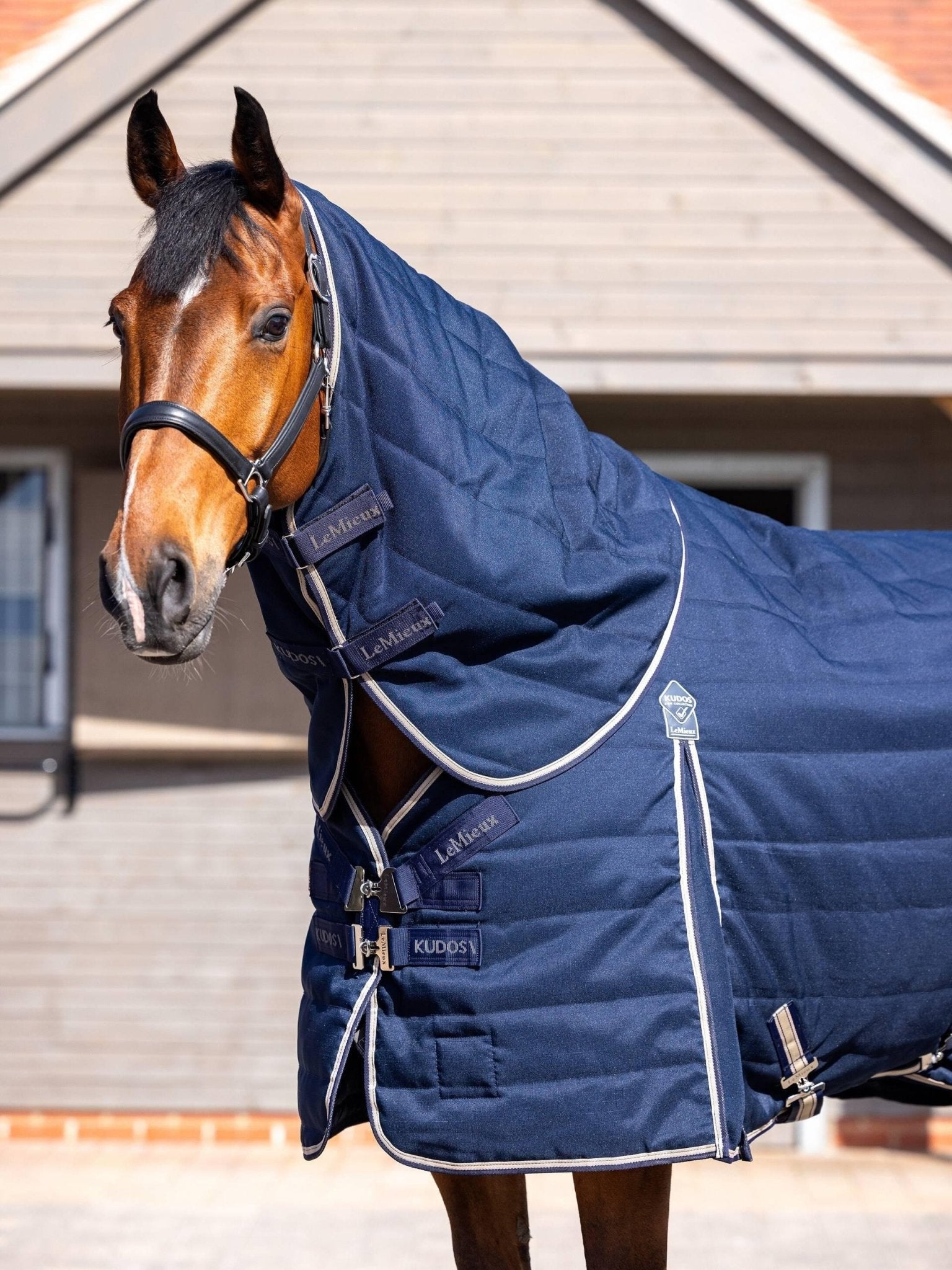 LeMieux Kudos Stable Neck Cover 50g - Navy