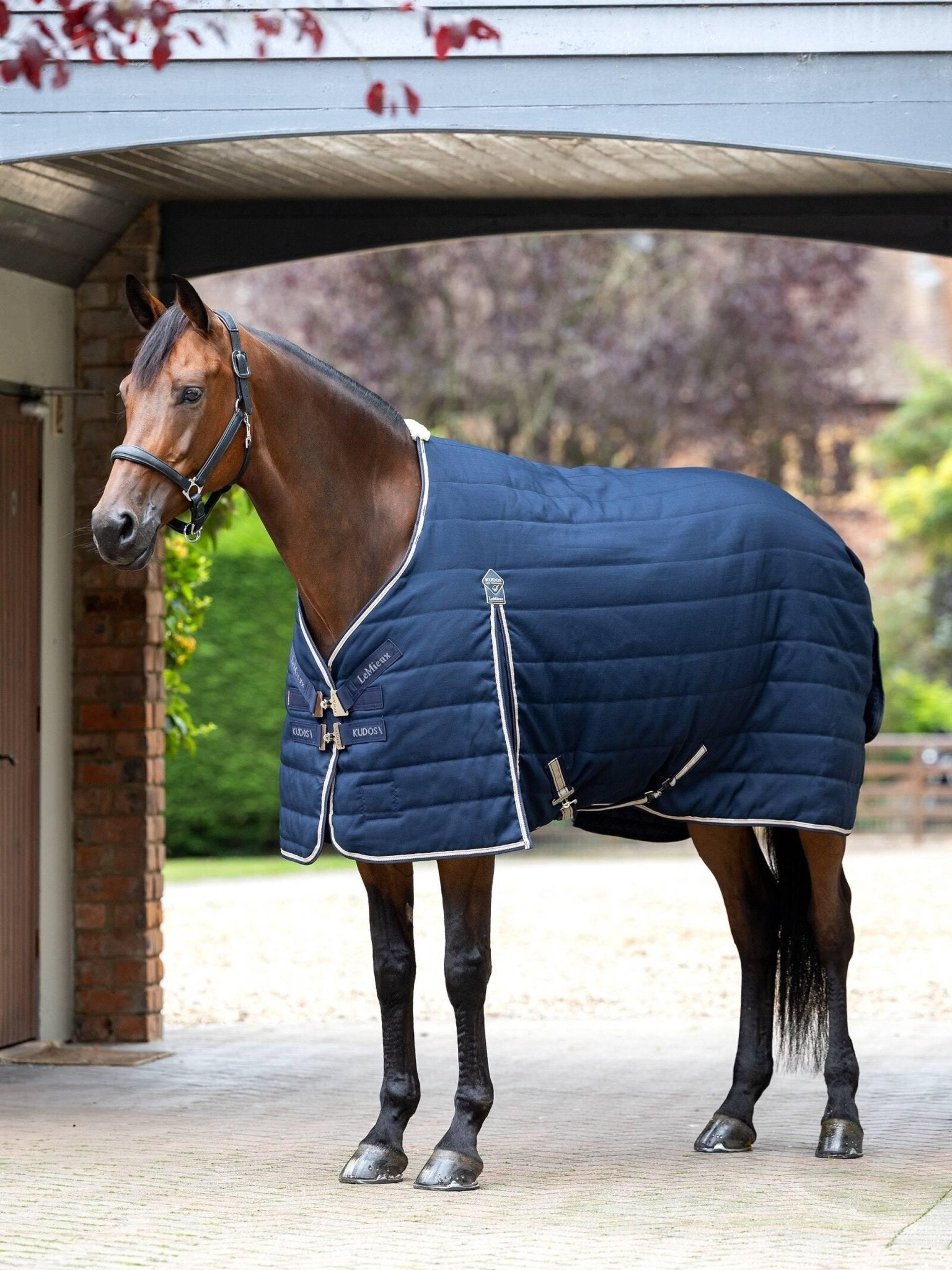 LeMieux Kudos Stable Rug 100g - Navy - Nags Essentials