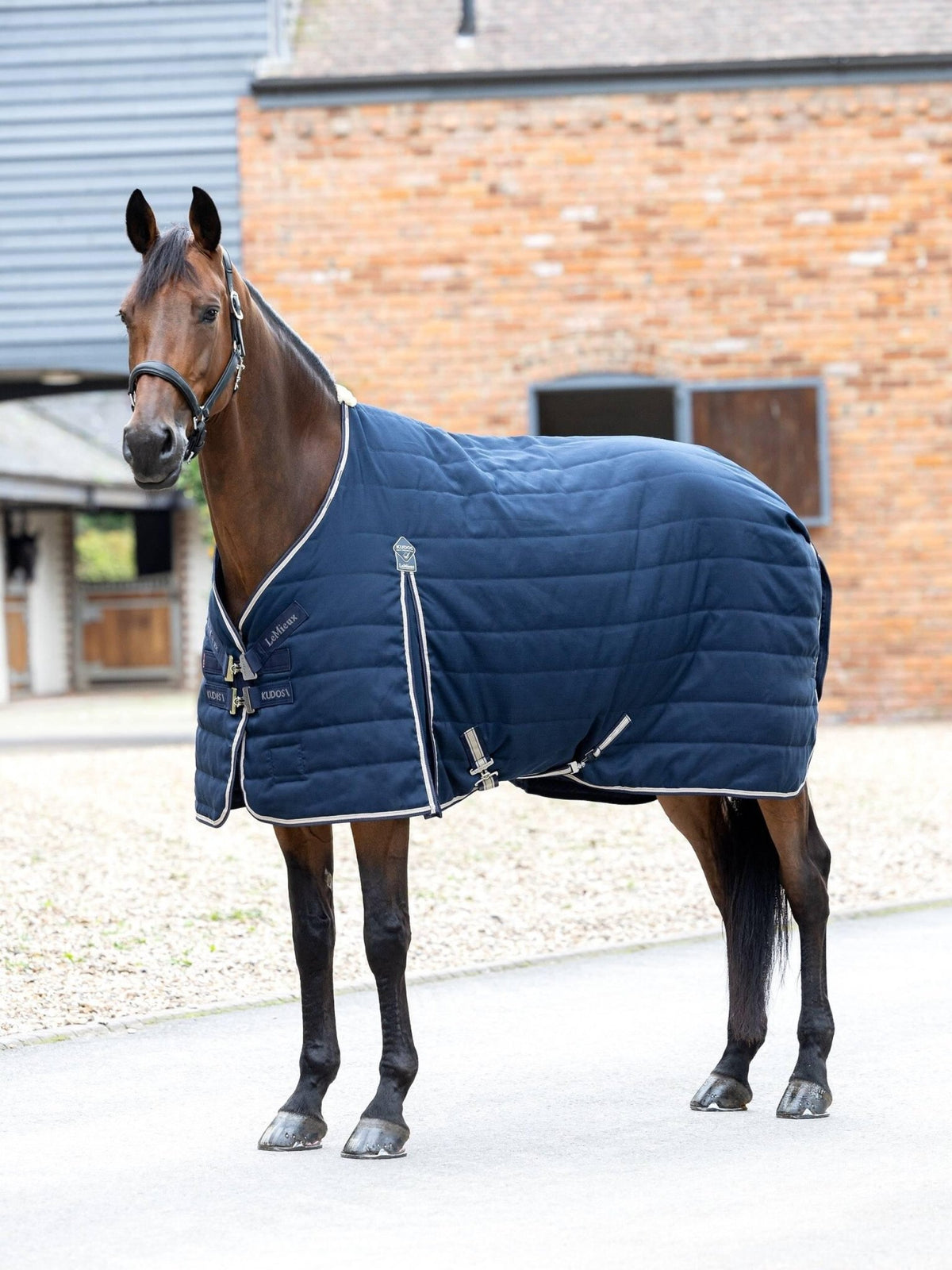 LeMieux Kudos Stable Rug 50g - Navy - Nags Essentials