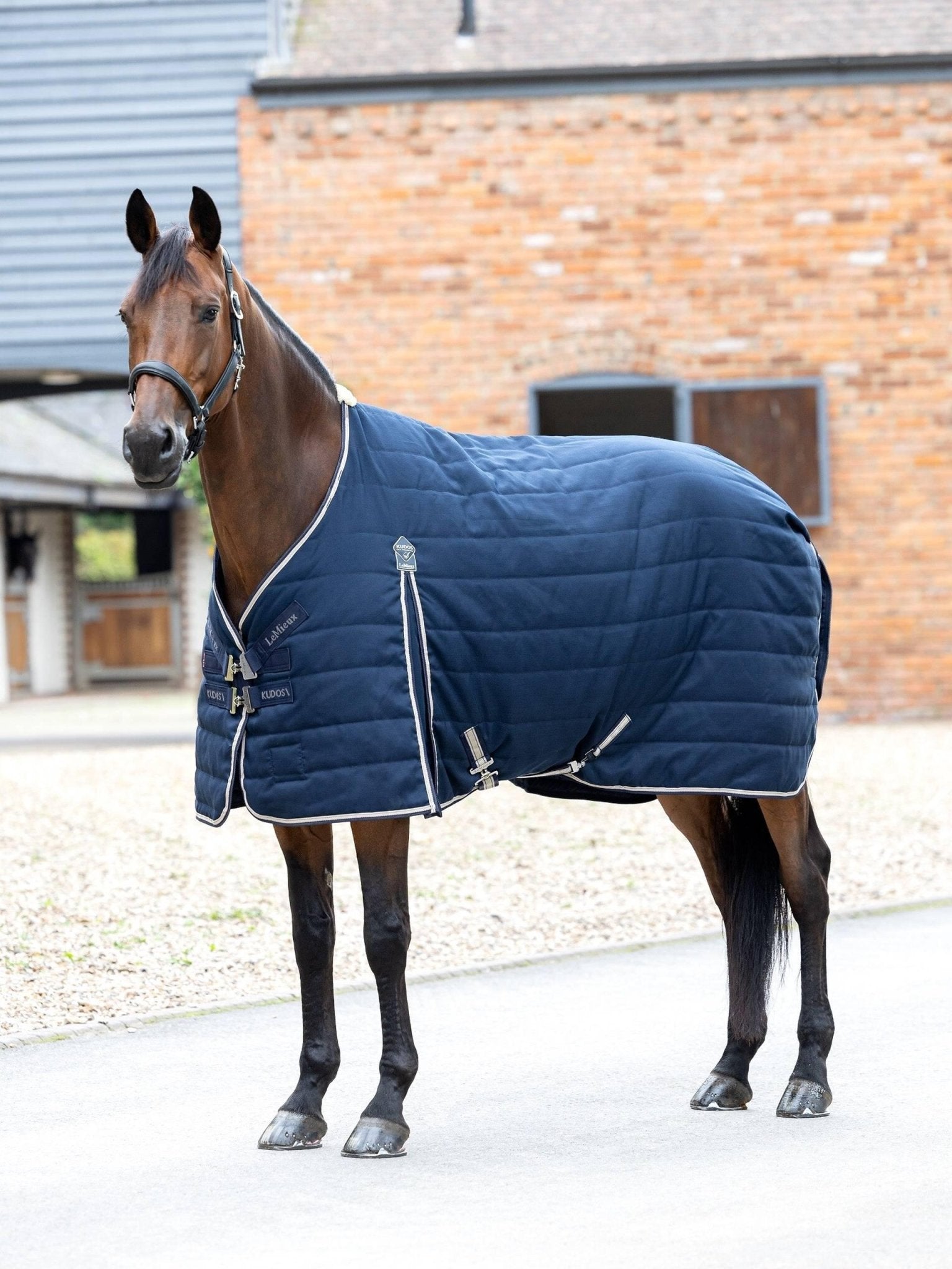 LeMieux Kudos Stable Rug 50g - Navy - Nags Essentials