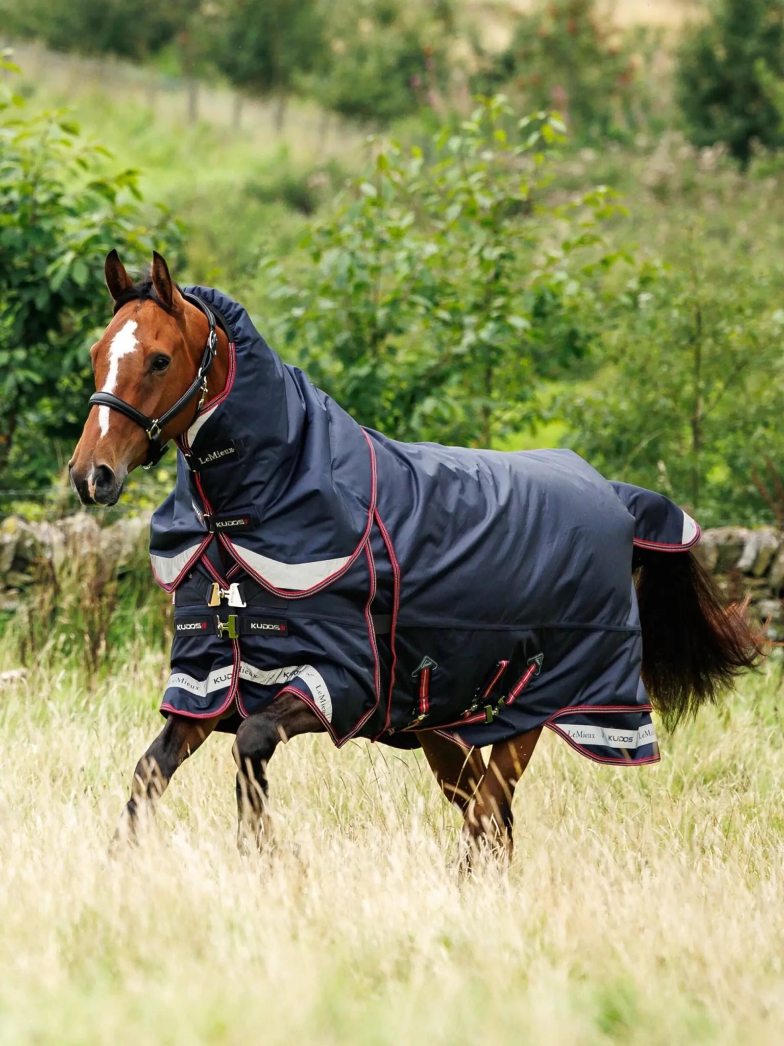 LeMieux Kudos Thermo Layer Turnout Rug 300g - Navy - Nags Essentials