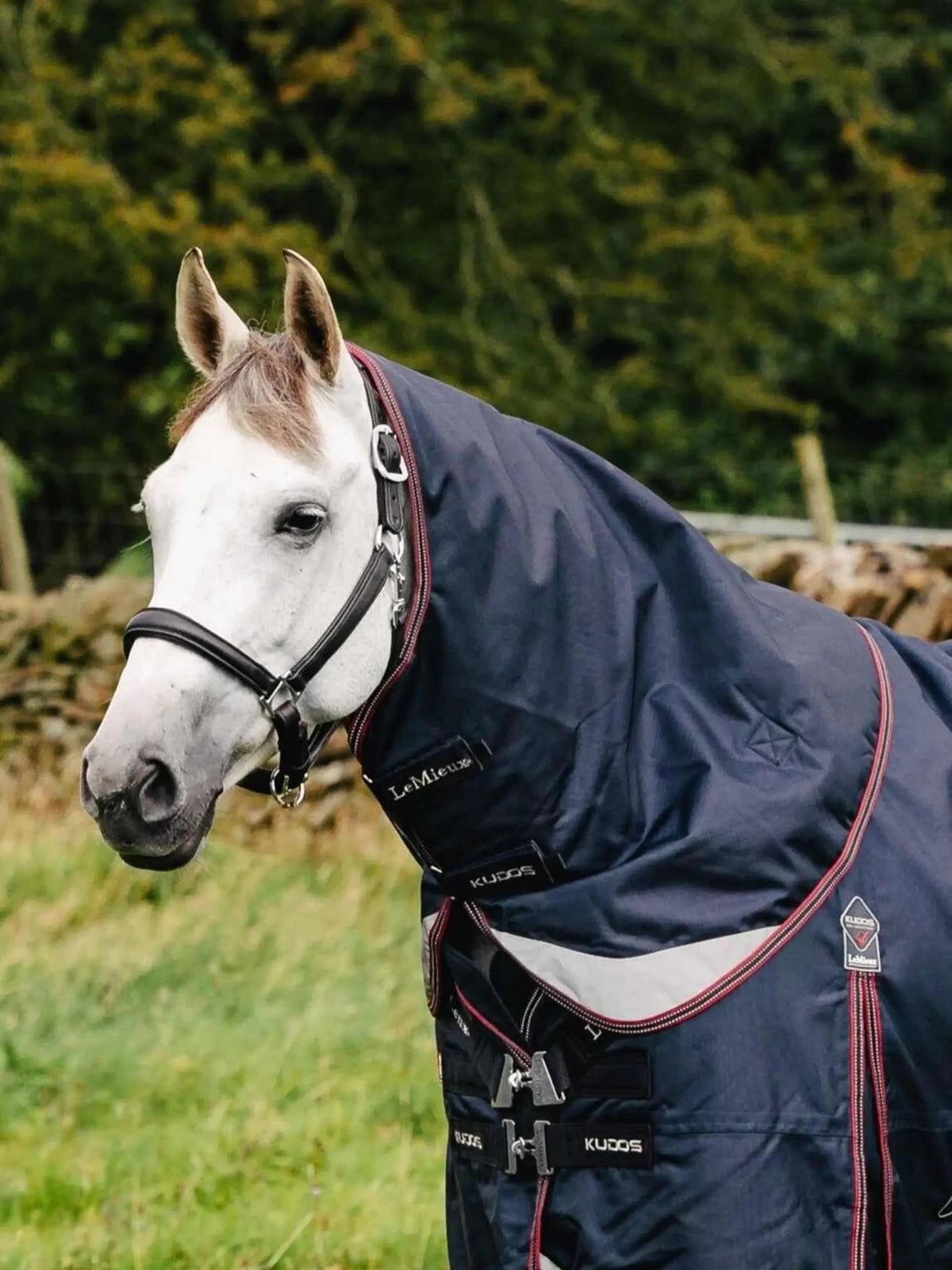 LeMieux Kudos Turnout Neck Cover 100g - Navy - Nags Essentials
