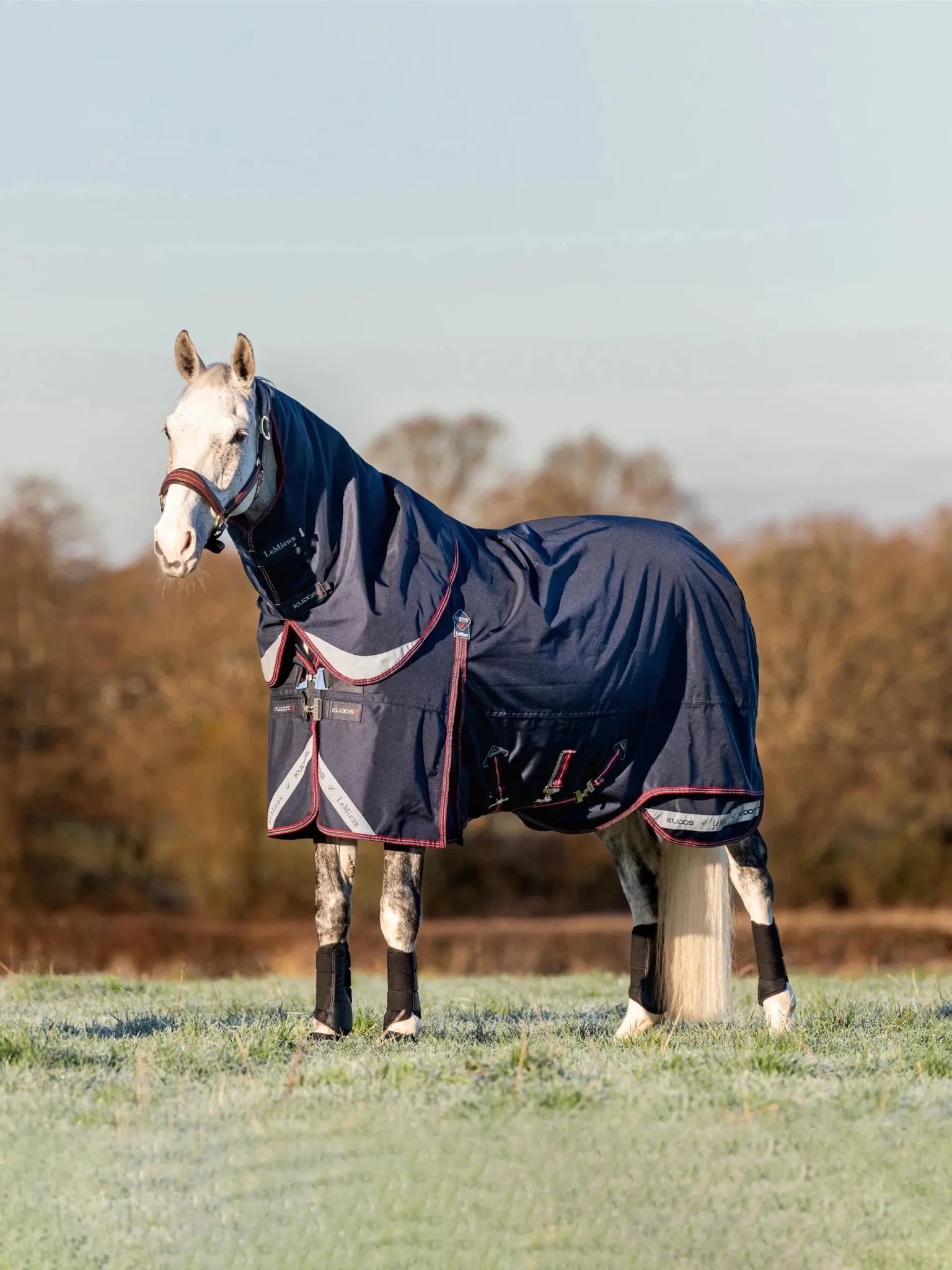 LeMieux Kudos Turnout Rug 100g - Navy - Nags Essentials