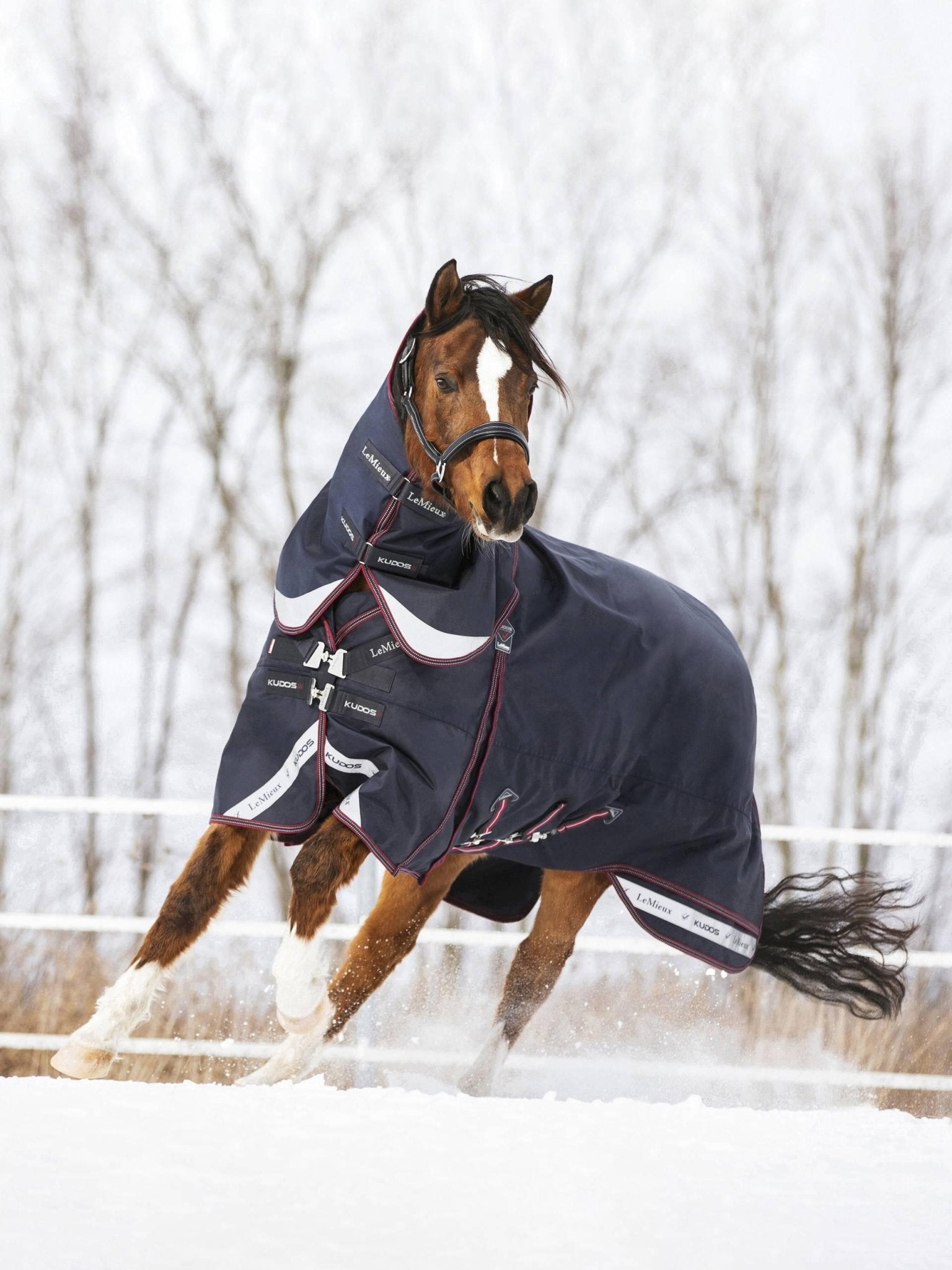 LeMieux Kudos Turnout Rug 200g - Navy - Nags Essentials