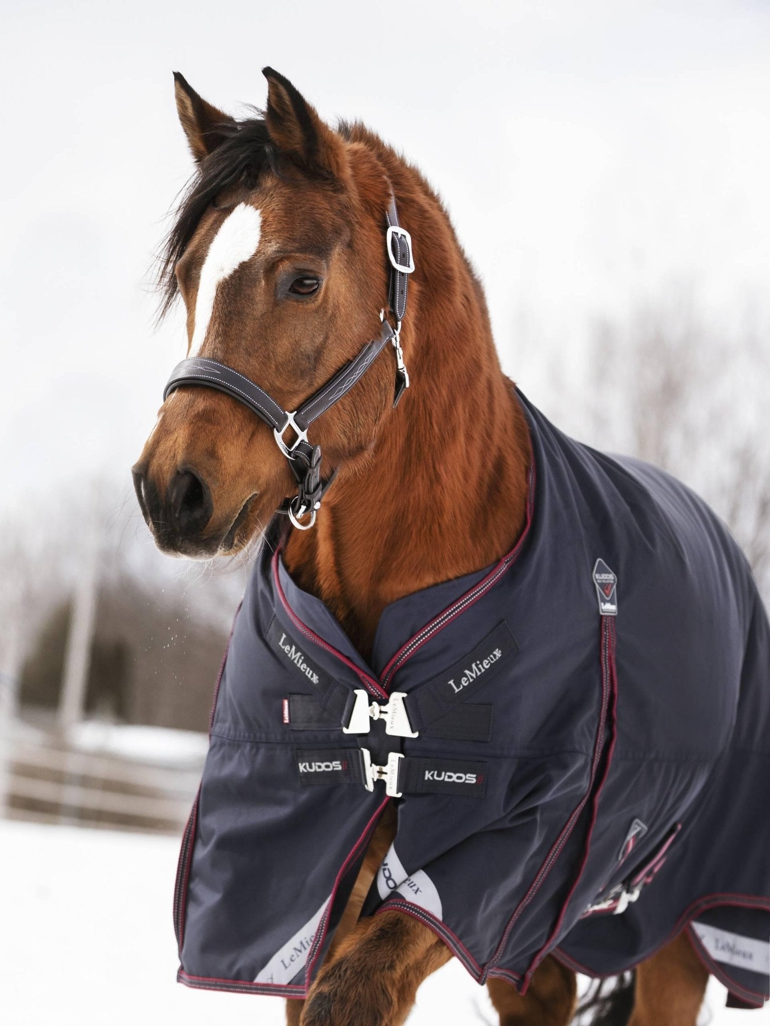 LeMieux Kudos Turnout Rug 200g - Navy - Nags Essentials