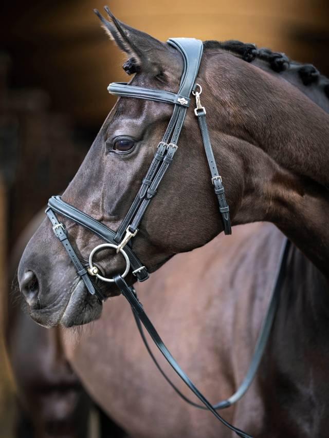 Lemieux Kudos Work Bridle - Nags Essentials