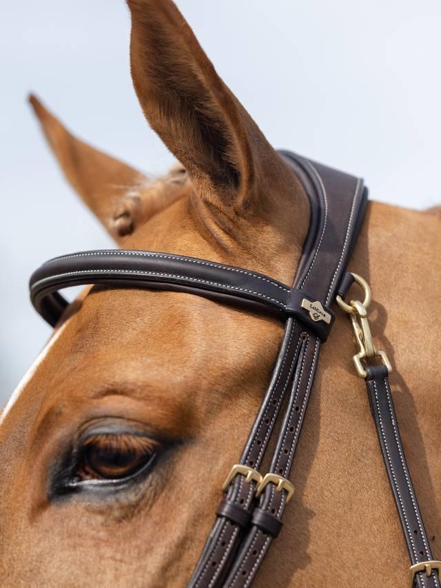 Lemieux Kudos Work Bridle - Nags Essentials