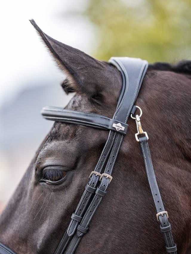 Lemieux Kudos Work Bridle - Nags Essentials