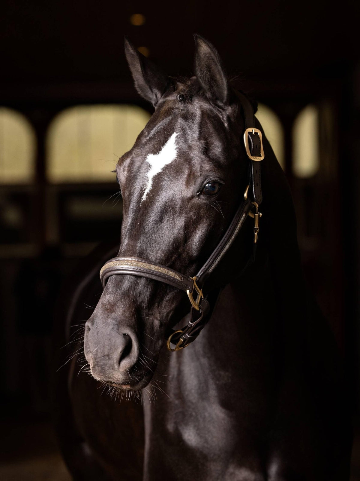 LeMieux Leather Crystal Headcollar - Nags Essentials