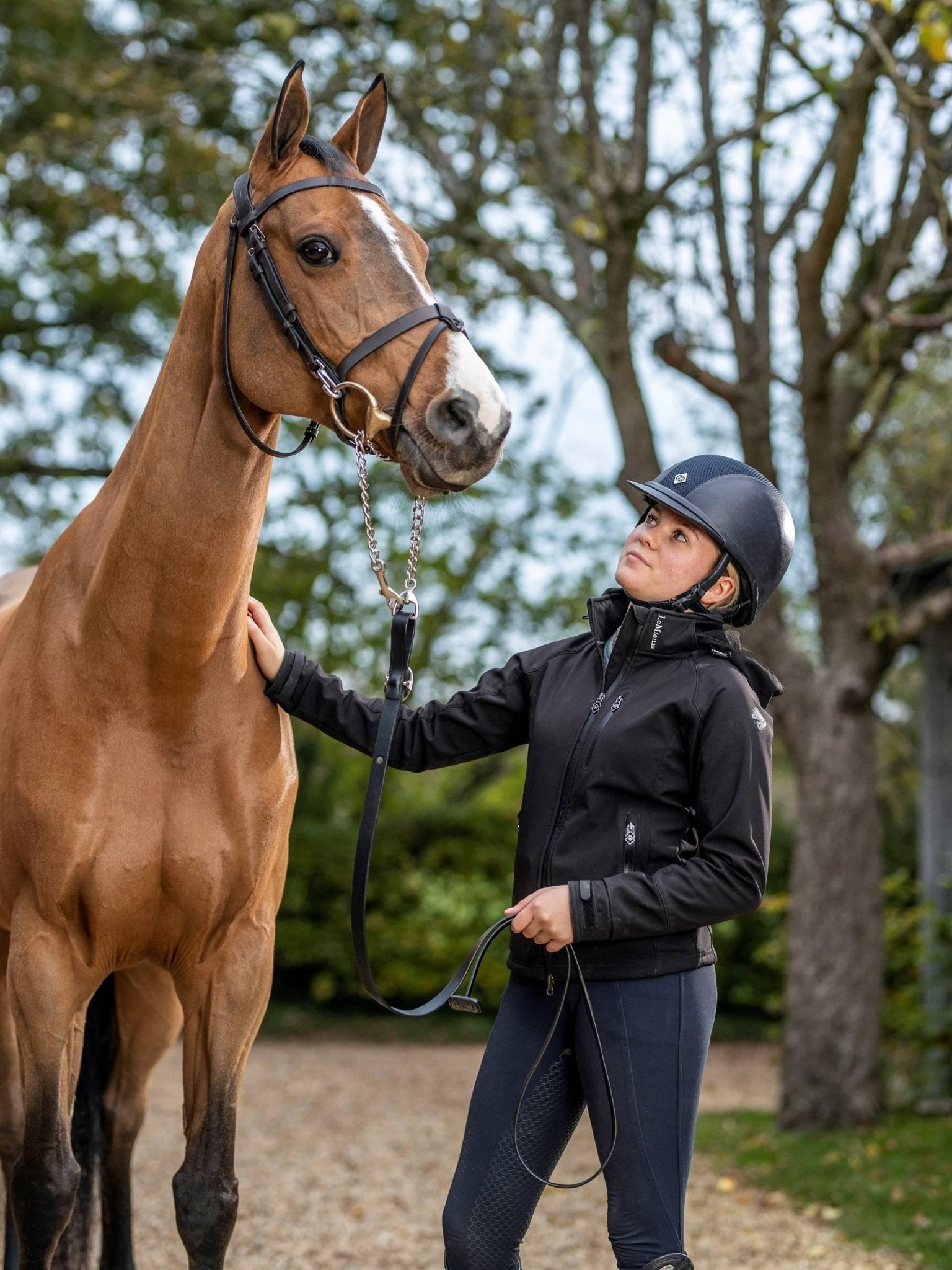 LeMieux Leather Trot Up Chain - Nags Essentials