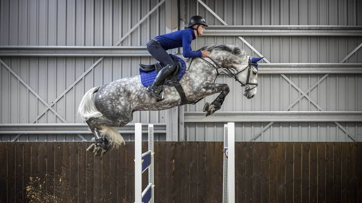 LeMieux Loire Close Contact Square - Nags Essentials