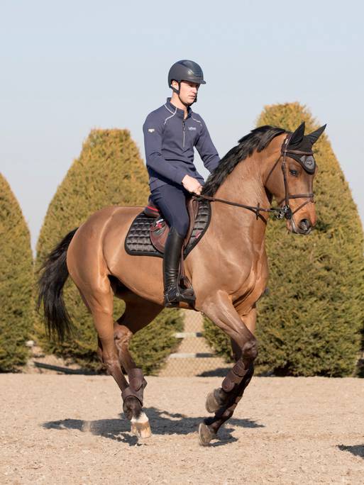 LeMieux Loire Close Contact Square - Nags Essentials