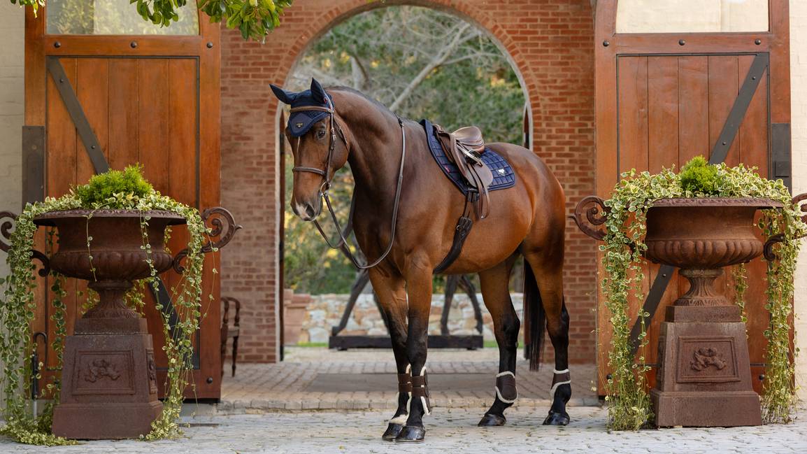 LeMieux Loire Close Contact Square - Nags Essentials