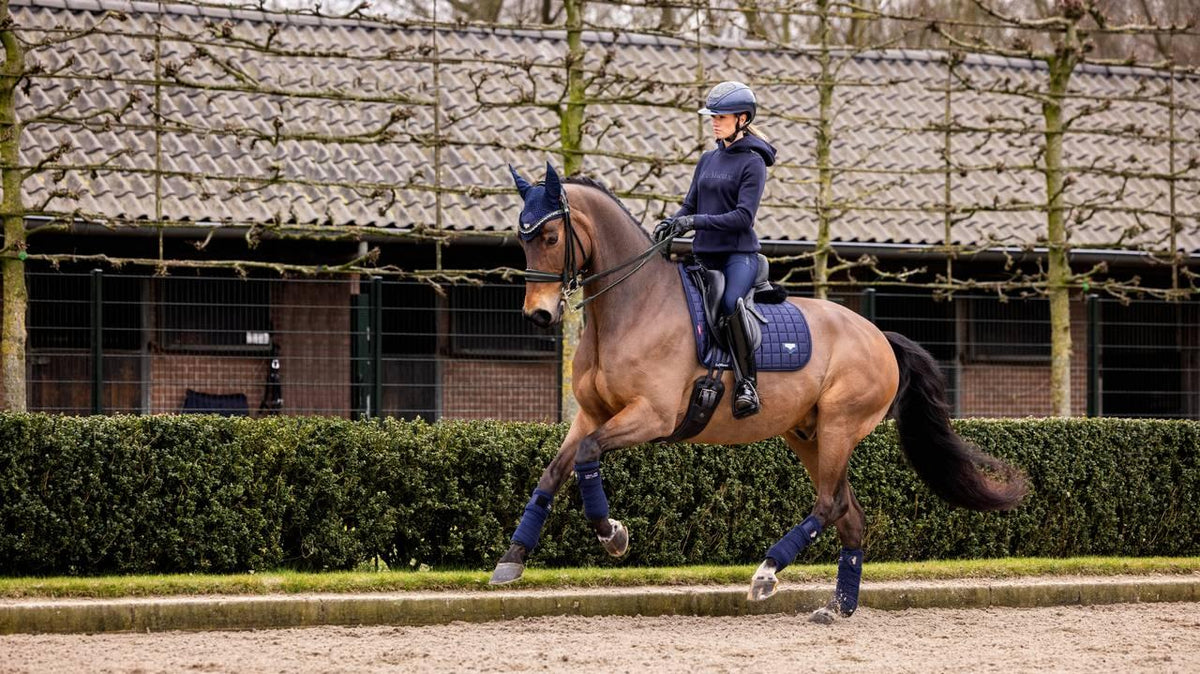LeMieux Loire Dressage Square - Nags Essentials