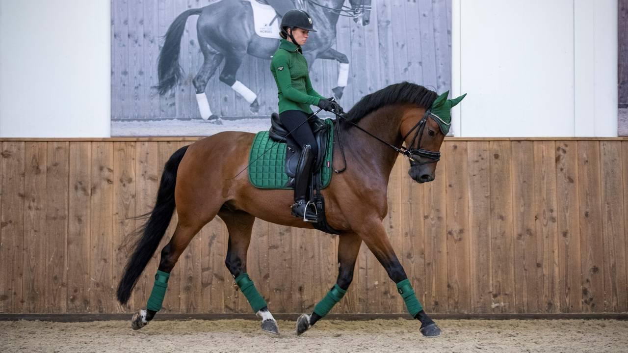 LeMieux Loire Dressage Square - Nags Essentials