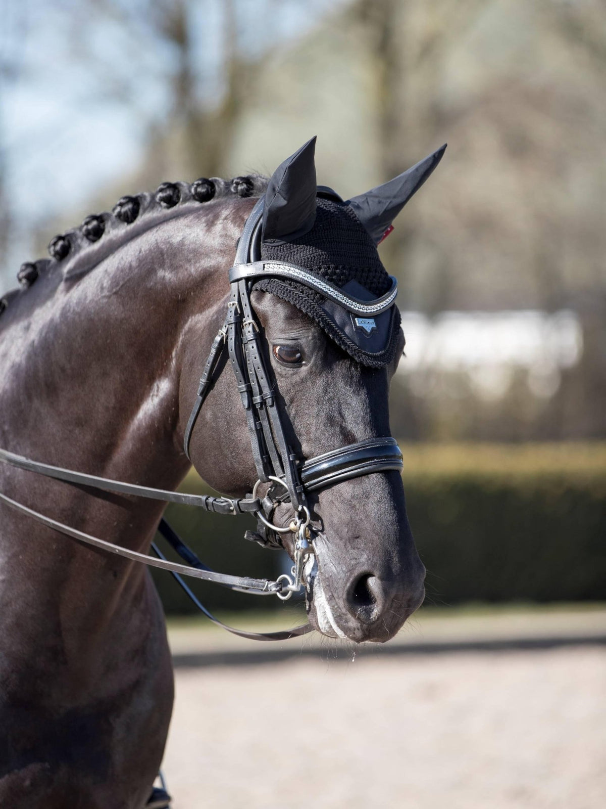 LeMieux Loire Fly Hood - Nags Essentials
