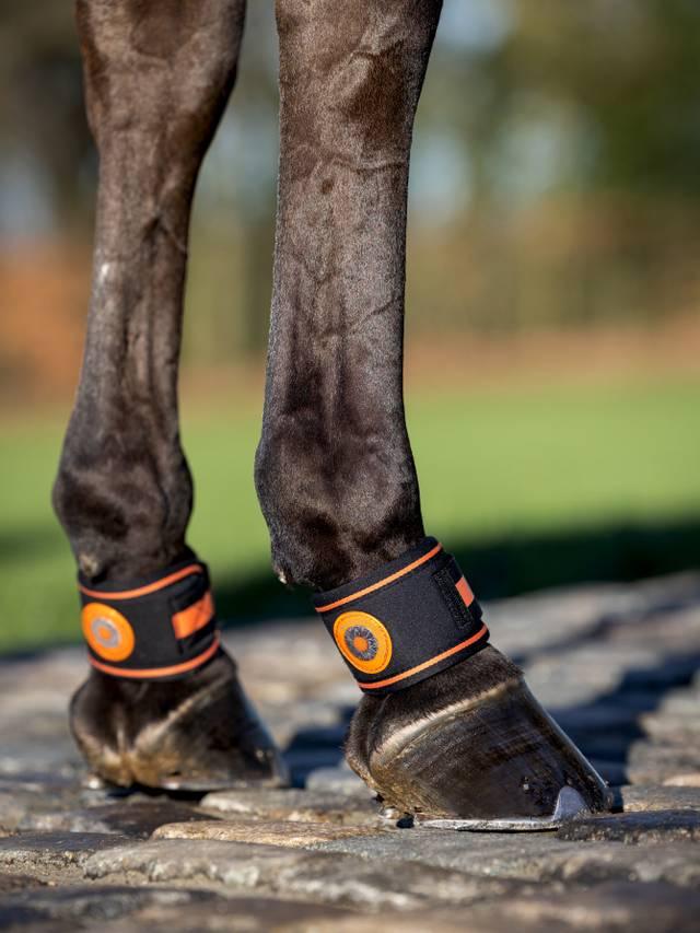 LeMieux Magno Pastern Wrap - Black - Nags Essentials