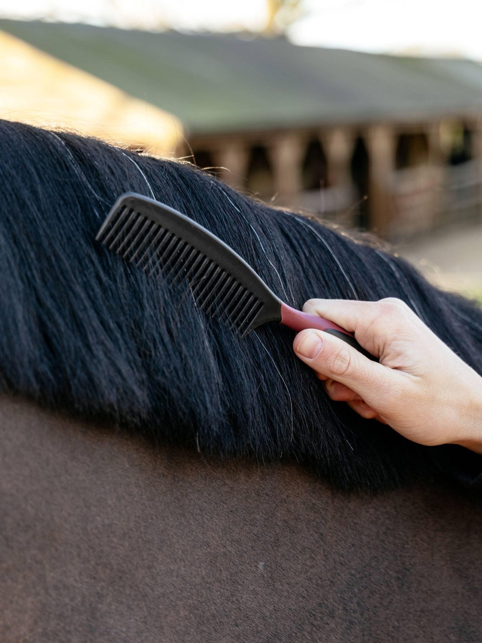 Lemieux Mane Comb Black - Nags Essentials