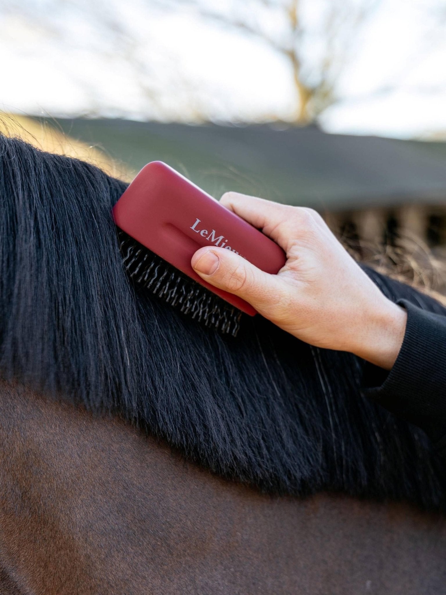 Lemieux Mane Tamer Red - Nags Essentials