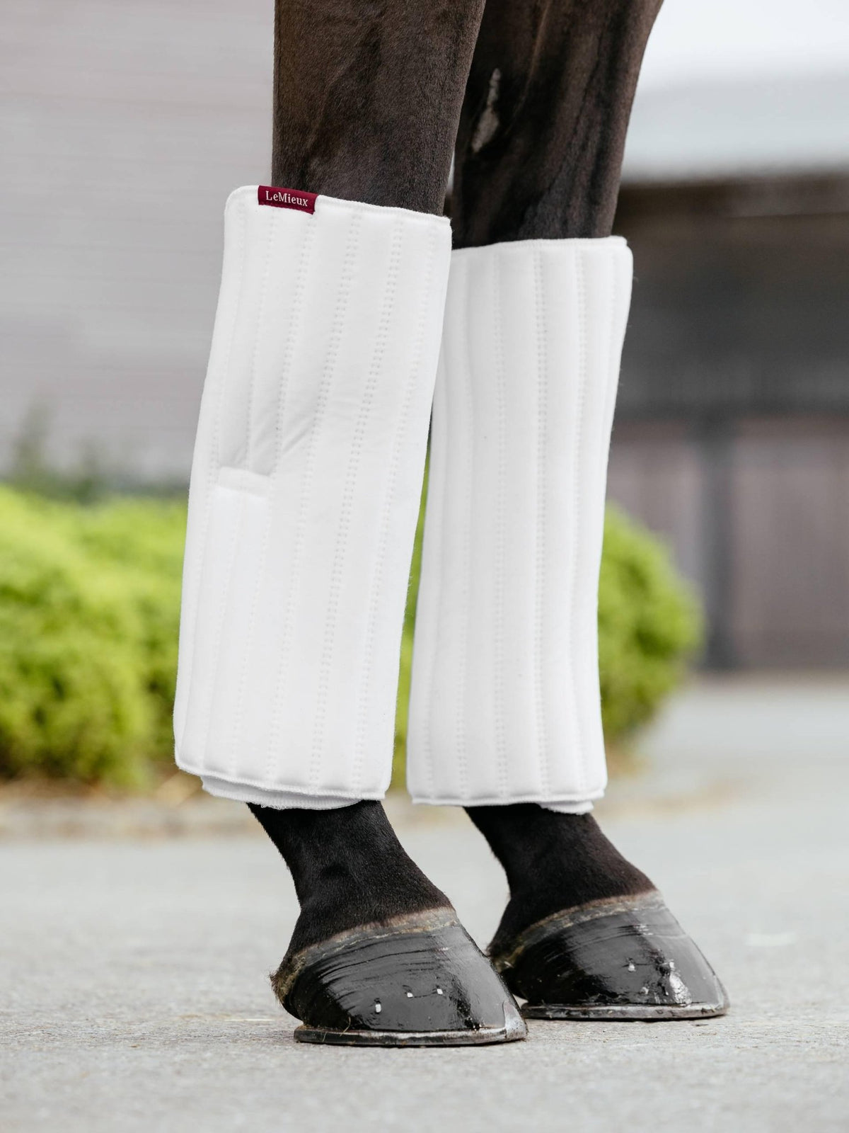 LeMieux Memory Foam Bandage Pads - Nags Essentials
