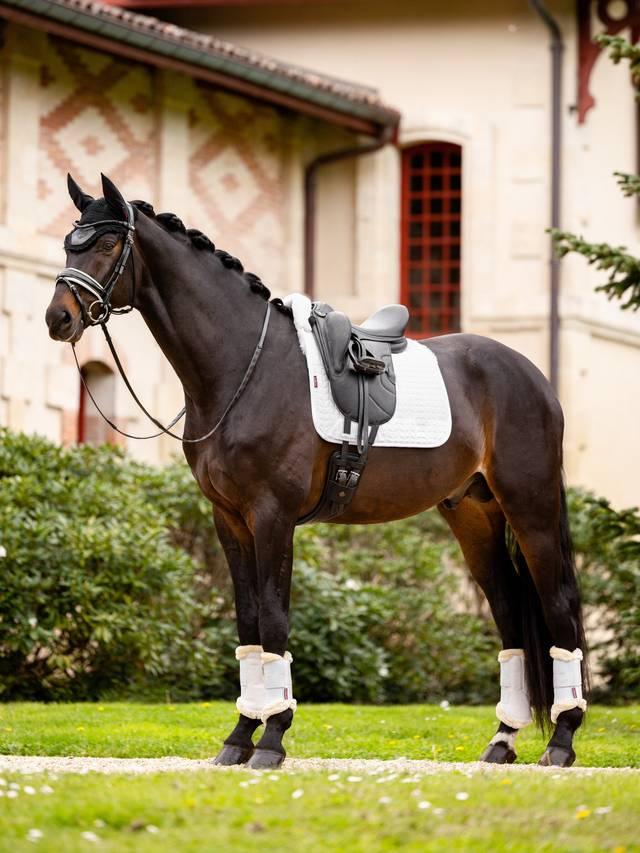 LeMieux Merino+ Half Lined Dressage Square - Nags Essentials