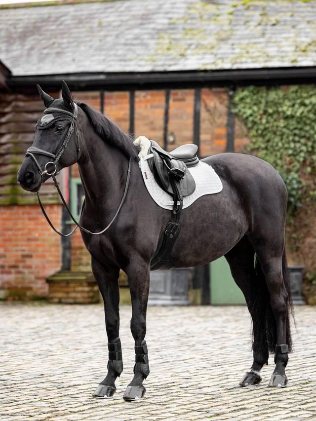 LeMieux Merino+ Half Lined GP Square - Nags Essentials