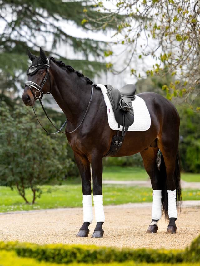 LeMieux Merino+ Half Lined Suede Dressage Square - Nags Essentials