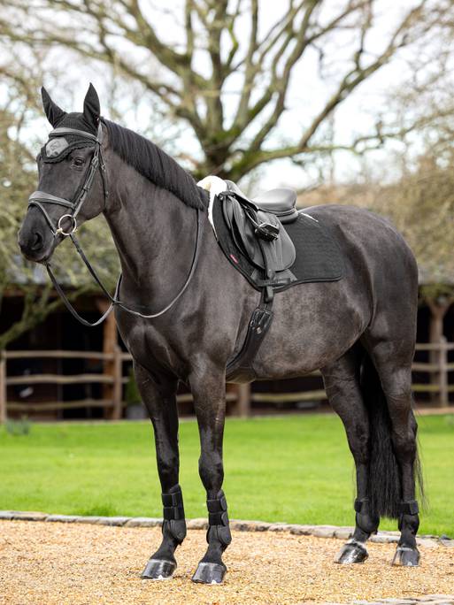LeMieux Merino+ Half Lined Suede EuroJump Square - Nags Essentials