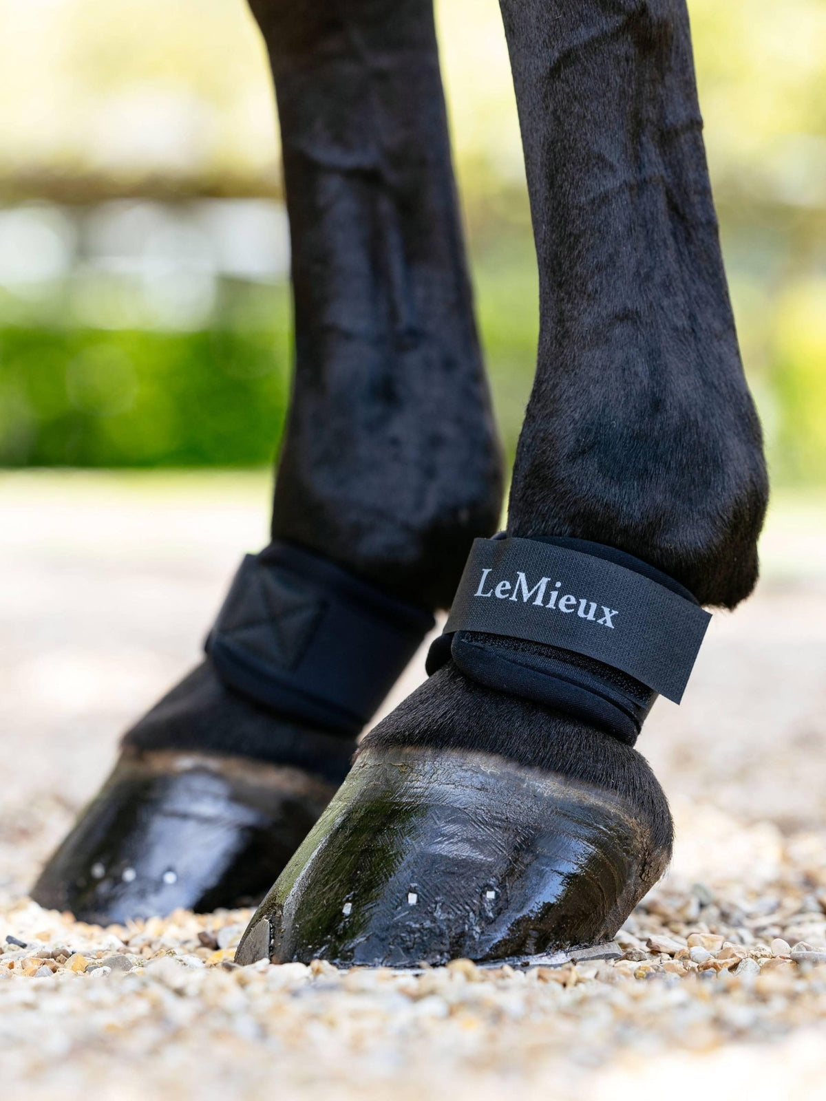Lemieux Neoprene Pastern Wrap Black - Nags Essentials