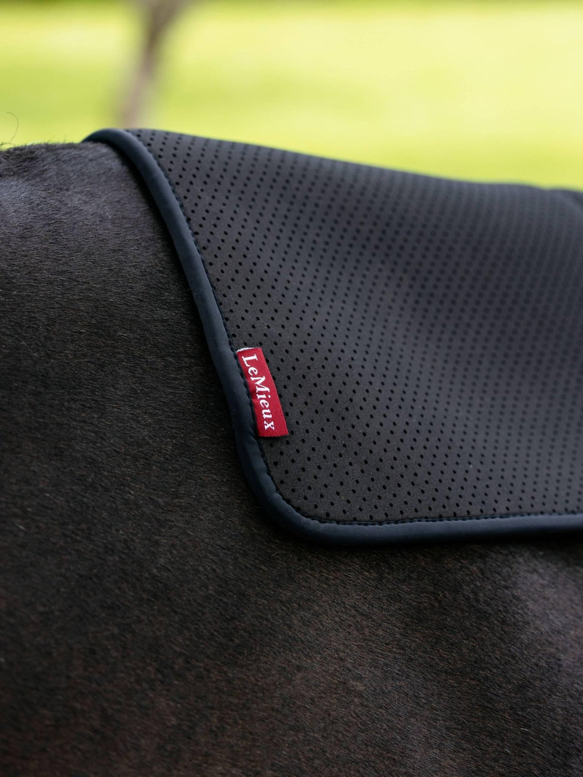 LeMieux Non - Slip Half Pad Square - Black - Nags Essentials