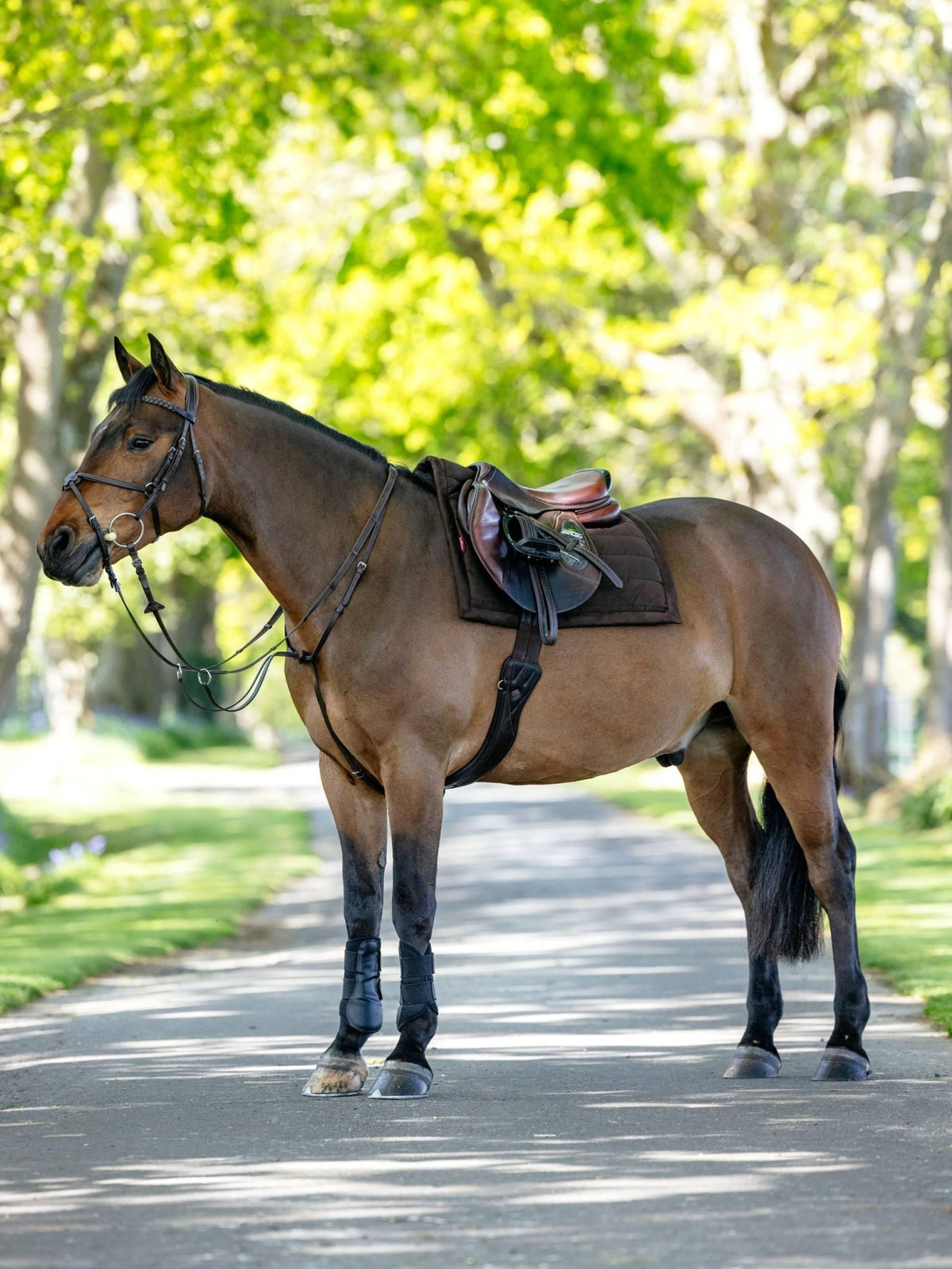 LeMieux Pillow Pad - Nags Essentials